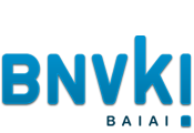 BNVKI